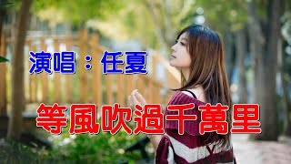 ♬《等風吹過千萬里》♬╰⊰❀任夏