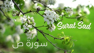 38. Surat Sad by Saad Al Ghamdi NO ADS - سورة ص بتلاوة سعد الغامدي دون إعلانات
