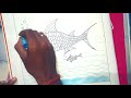 fish drawing , how to draw ,step by step , how to draw fish , easy drawing of fish step by step ,