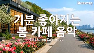 [Playlist] 🌿 Uplifting Spring Cafe Music ☕ Soft Emotional Pop for Focus & Rest | Soft Spring Cafe P screenshot 4