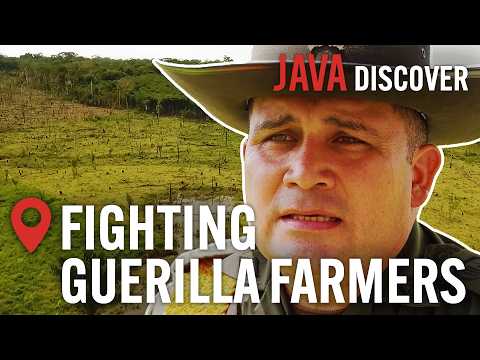 Colombia's Rainforest Soldiers: Fighting Large Scale Destruction