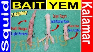 Kalamar ile Balık avı nasıl yapılır? Sübye Fileto Kalamar iğneye nasıl takılır Surf Casting 7fishing