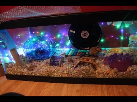 40 gallon hamster cage