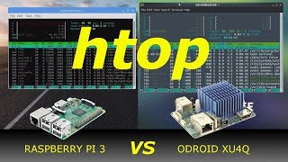 Odroid XU4 vs Raspberry Pi 4: The Differences