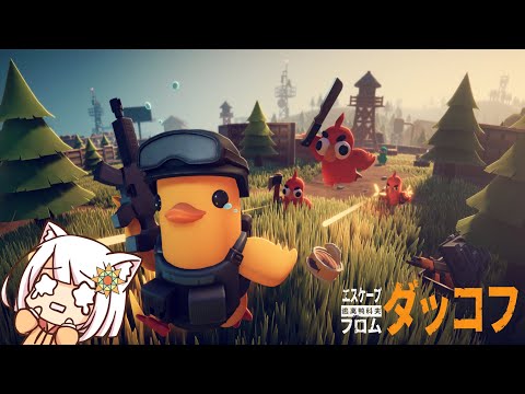 【エスケープフロムダッコフ】かわいいアヒルのゲーム