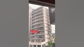 "Mosquito Net Installation for Balcony & Windows | RK Bird Netting | Mosquito Protection 🦟 #Shorts"