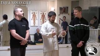 Taijiquan Practical Method In Germany