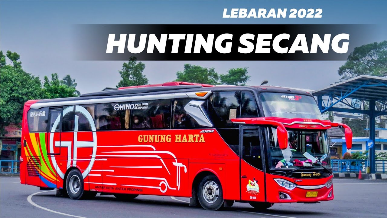 HUNTING BUS DI TERMINAL SECANG, BANYAK BUS BUS BARU NIH !!!
