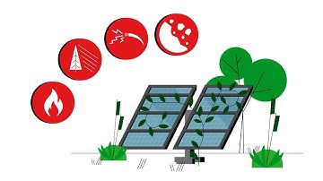 Why Vegetation Management Is Vital to Renewable Energy