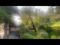 【California】Japanese Tea Garden in Golden Gate Park on August 2021