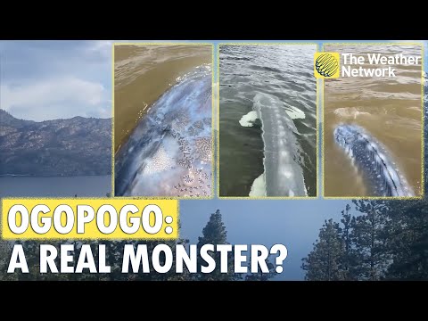 Ogopogo': Is The Legendary Monster in Okanagan Lake Real