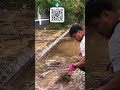 Desperate Measures Unclog a Flooded Street Drain Fast!