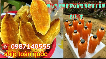 Mật ong - Mật ong rừng nguyên chất