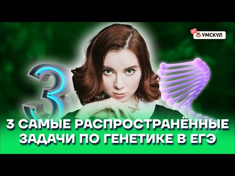 Три самые распространённые задачи по генетике в ЕГЭ | Биология ЕГЭ 2022 | Умскул