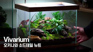 Just the right size! Amphibian VivariumㅣPlant care, Okinawa newt by 내츄럴팟 NATURALLPOT 14,790 views 6 months ago 16 minutes