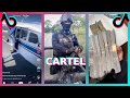 Welcome to the CARTEL | [BANED] TikTok Compilation