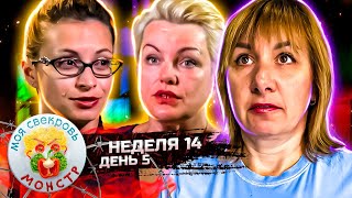 МОЯ СВЕКРОВЬ — МОНСТР ► СВИНЬЯ В АНАНАСАХ ► 14 неделя ► 5 день