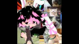 Free 2000S Dance Party Type Beat Kittyflower T57T57