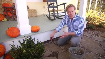 Ground Covering Options | GHC In-Depth With P. Allen Smith
