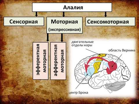 15  Алалия  Причины  Механизм Характеристика основных форм