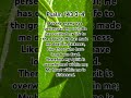 Psalm 143 3-4 #Jesus #bible #bibleverse #life #christian #guidance #psalm #verseoftheday #verse #yes