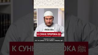 Любовь к Сунне Пророка || Ильшат абу Сальман #ислам #вера #коран #рай #пост #рамадан #честь