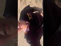 Don’t mind the bad video quality… I just had to show the amazing weather for my run the other day☀️