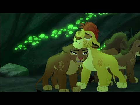 Aslan Koruyucular 