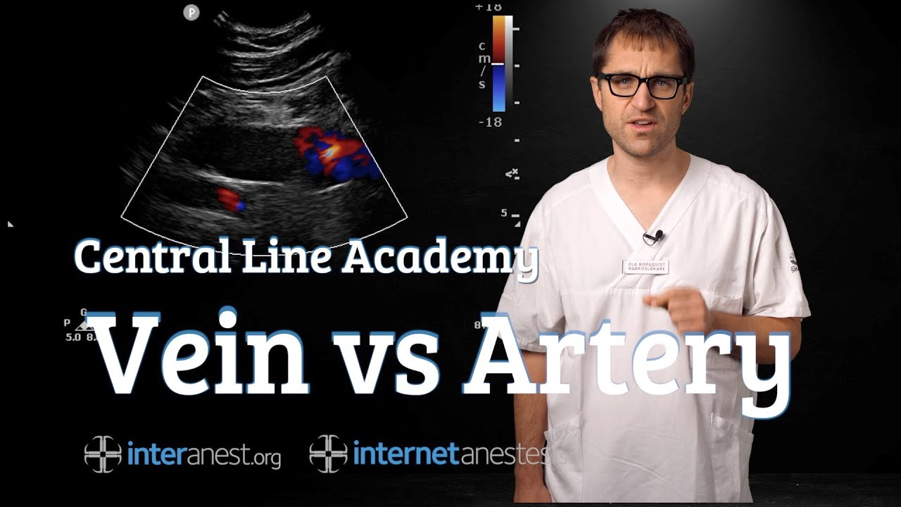 Central Line Academy: Vein vs Artery - YouTube