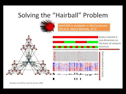 NetGestalt Tutorial 1: Introduction