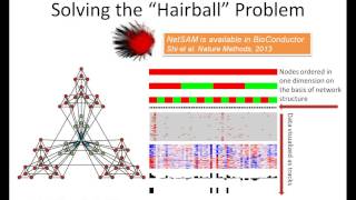 Famous NetGestalt Tutorial 1: Introduction Profile