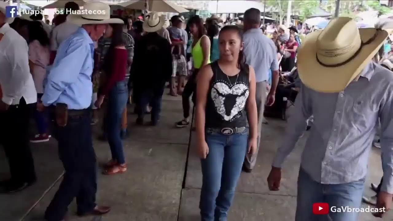 Escuchemos Huapangos Huastecos!