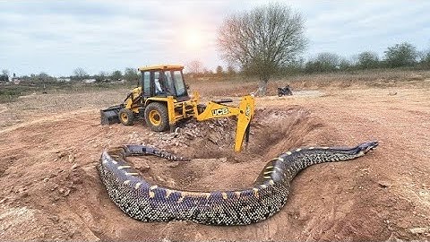 JCB 3dx Backhoe fully Loading Mud in Mahindra 475 JCB khudai work JCB video #jcb #jcbvideo