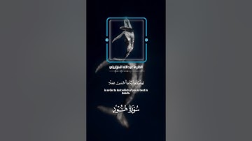 سوره هود عن الرزق وان الرزق بيد الله تلاوه عبدالله الطرابيلى