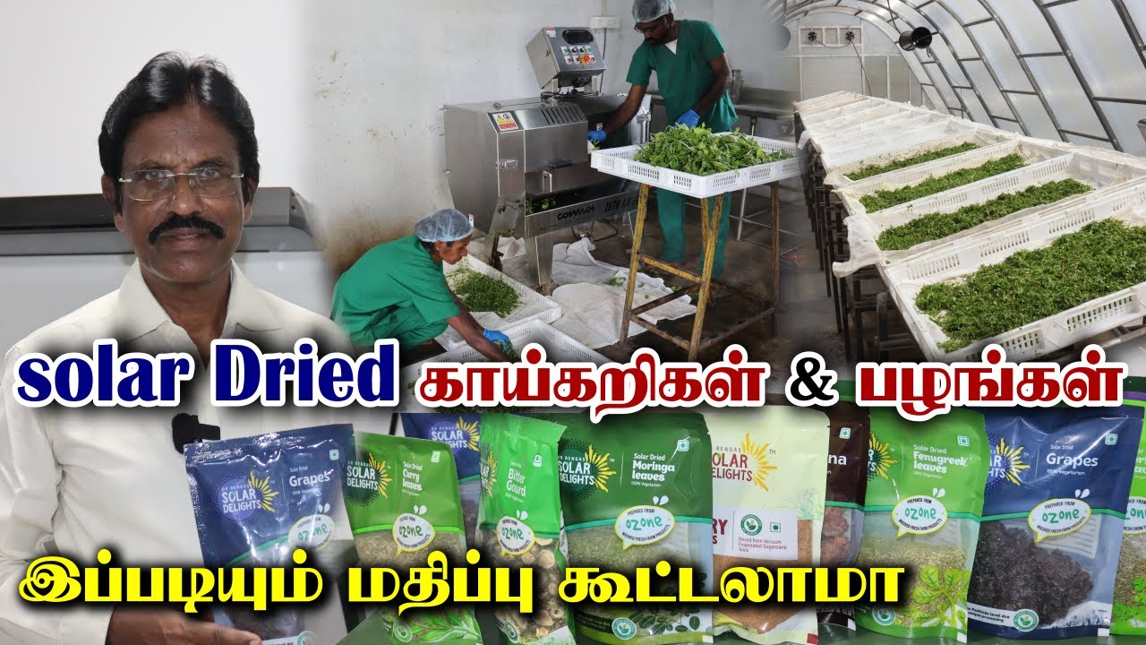 மருத்துவரின் புதிய முயற்சி | solar Dried காய்கறிகள் மற்றும் பழங்கள் | Agriculture Solar Dryer System
