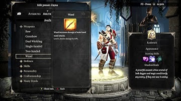 Divinity Original Sin Enhanced Edition Character Creation