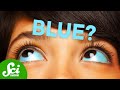 Understanding Body Color Changes
