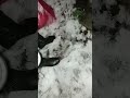 На інших люках дві кішечки мене чекали На інших люках дві кішечки мене чекали