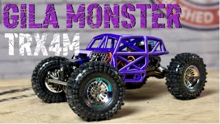 GILA MONSTER TRX4M  Build Overview, Crawling & More!!