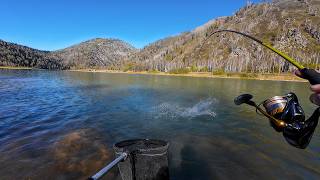видео: РЫБАЛКА В ВКО | ОТДЫХ ДИКАРЯМИ В ТАЙГЕ! Быт и еда на костре. картинка: РЫБАЛКА В ВКО | ОТДЫХ ДИКАРЯМИ В ТАЙГЕ! Быт и еда на костре.