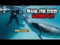 엄청난 크기의 물범은 다이버의 다리를 잡고 물 밑으로 끌고 들어가기 시작했다. :: 크리스티 브라운(Kirsty Brown)표범물범 공격사건