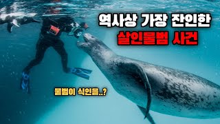 엄청난 크기의 물범은 다이버의 다리를 잡고 물 밑으로 끌고 들어가기 시작했다. :: 크리스티 브라운(Kirsty Brown)표범물범 공격사건