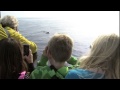 Weekend Explorer-Gray Whale Watching San Diego