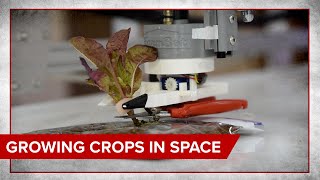 NASA Student Capstone Project- Ohio State FABE