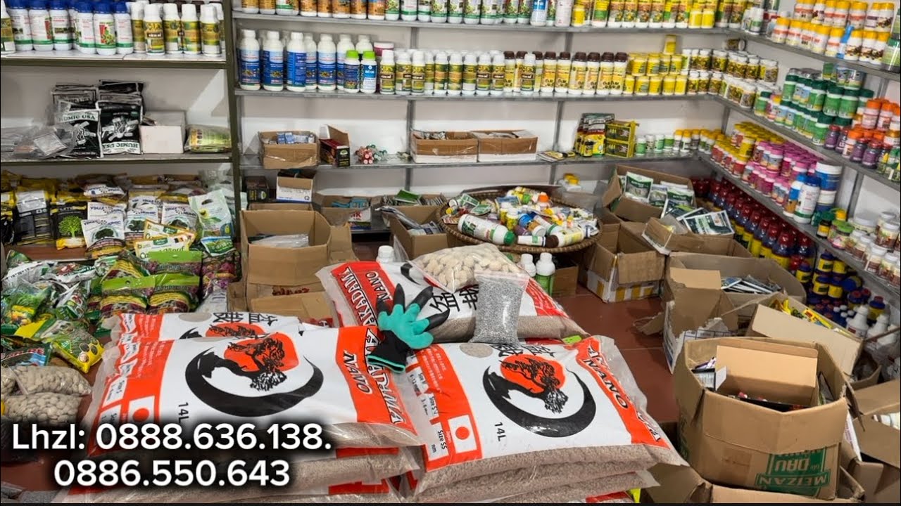 🌱👍.PHÂN THUỐC CHĂM CÂY ĐẸP SAU TẾT - ĐẤT NHẬT AKADAMA GIÁ THỂ TRỒNG CÂY TRONG CHẬU