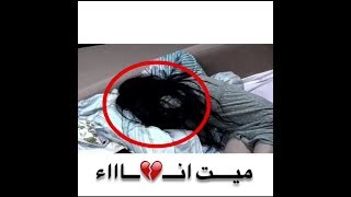 حالات واتساب فيديوو موثر جدا عن خيانه 😢//بعدك صرت ميت انا