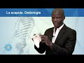 Ostologie la scapula omoplate  dcrite par le dr kante