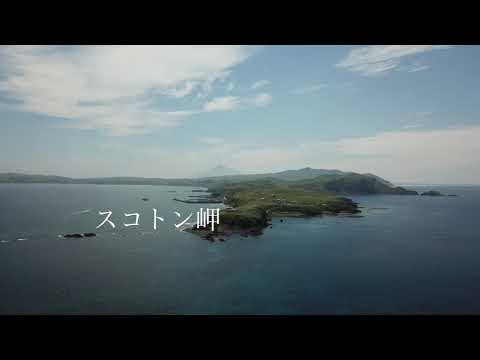 礼文島スコトン岬　空撮　2018・July