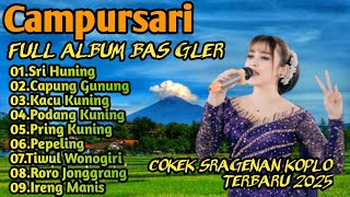 Download Lagu KUMPULAN CAMPURSARI COKEK SRAGENAN KOPLO TERBARU 2025 FULL ALBUM BASS GLER MP3