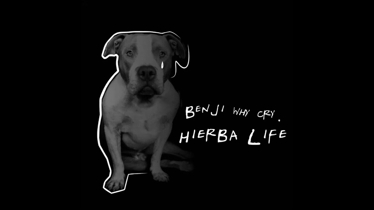 updl ru